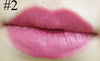 24 Colors Elegant Beauty Lipstick